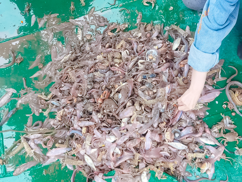 天津北塘