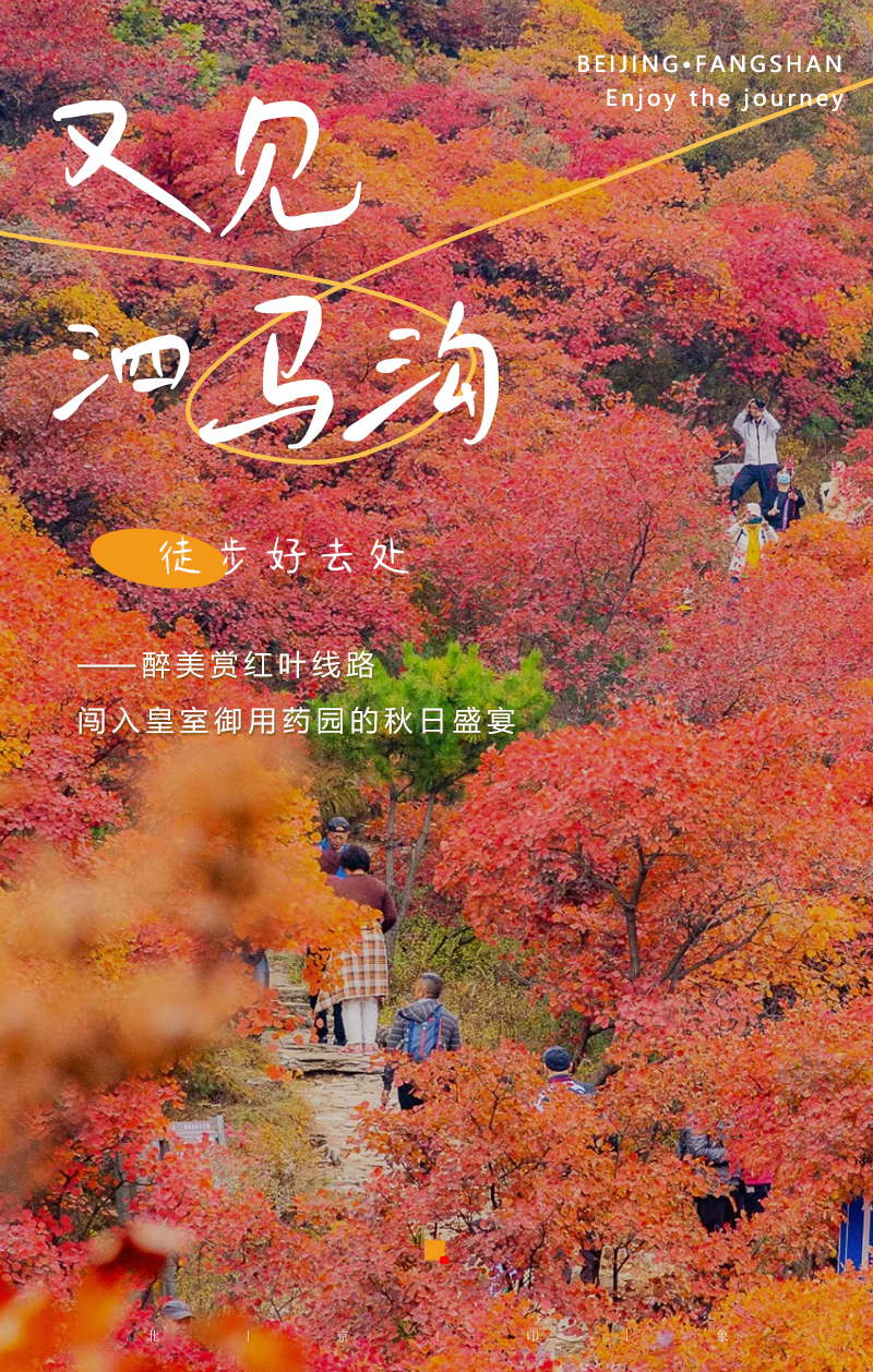 泗马沟药王谷