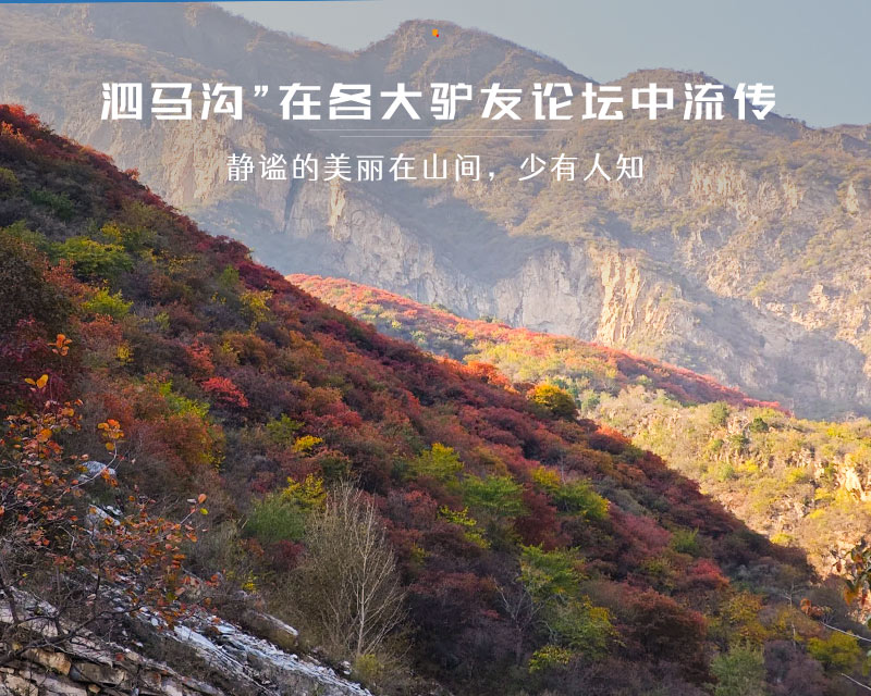 泗马沟药王谷