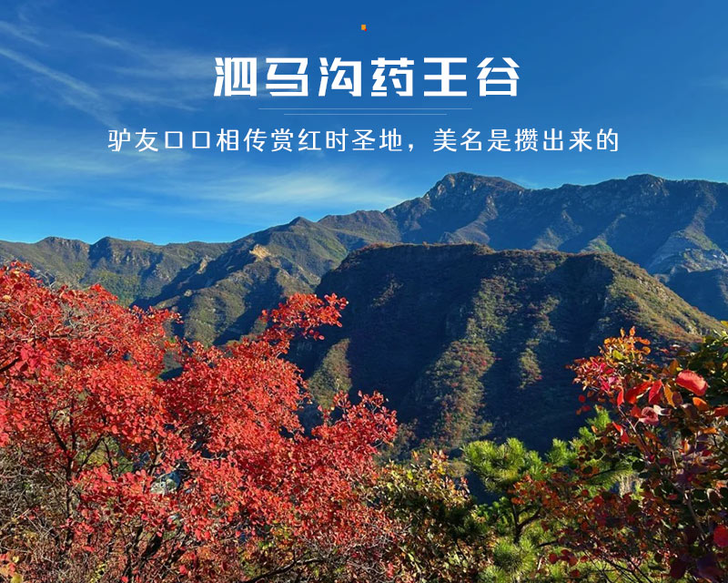泗马沟药王谷