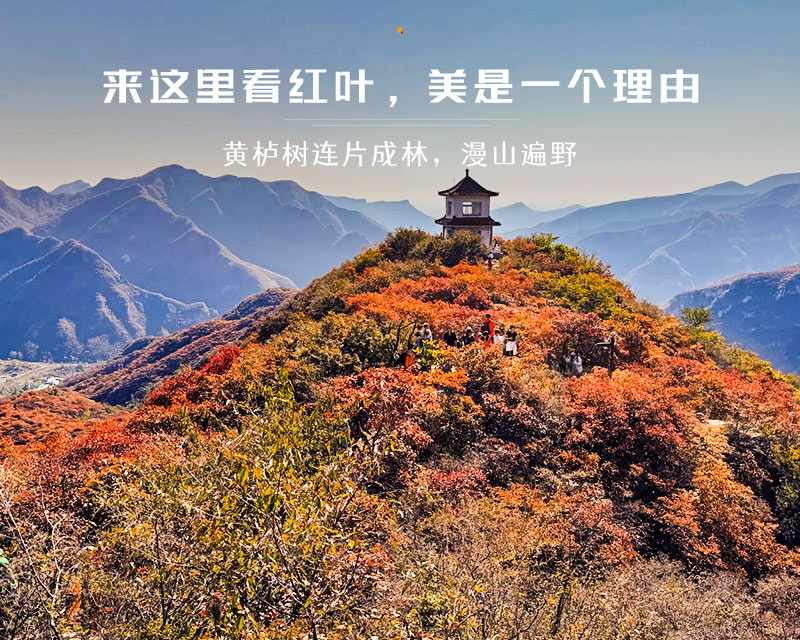 泗马沟药王谷