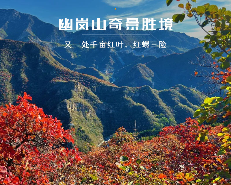 泗马沟药王谷