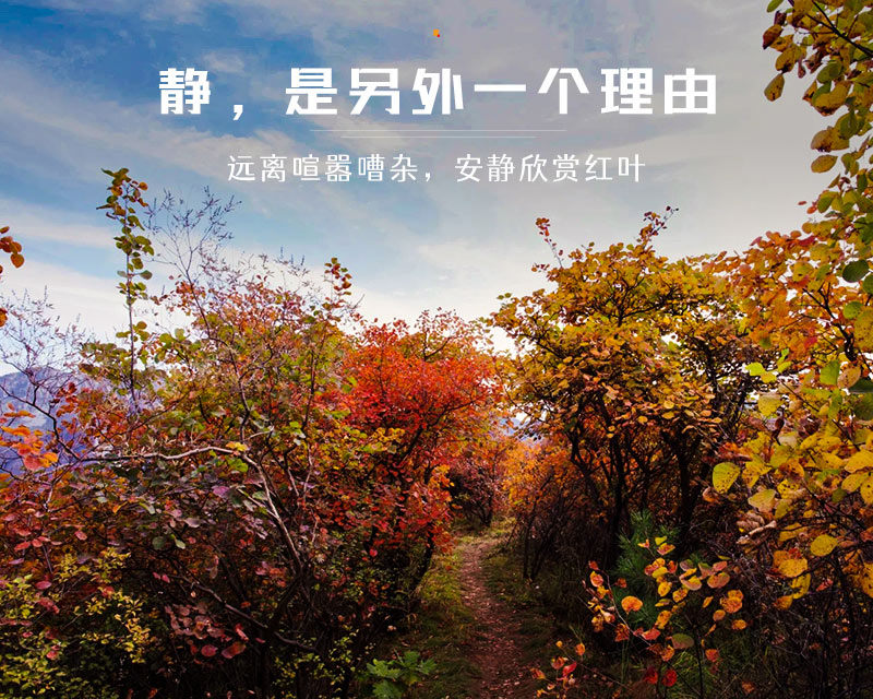 泗马沟药王谷