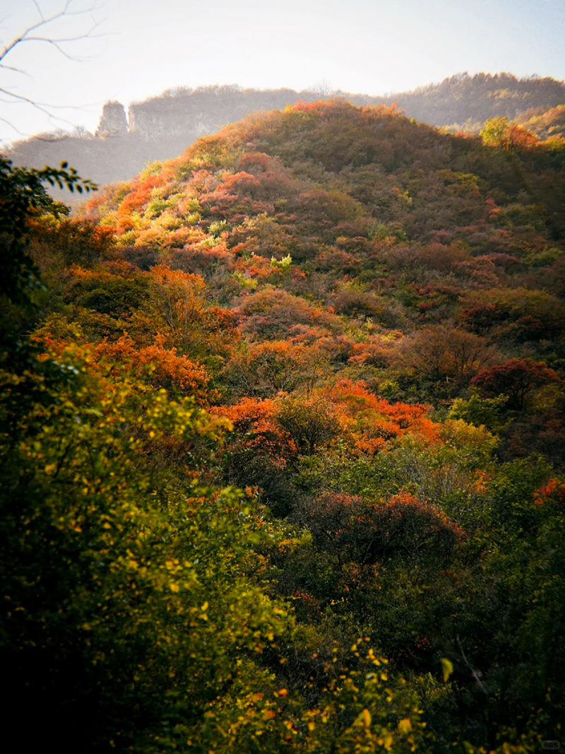 泗马沟药王谷