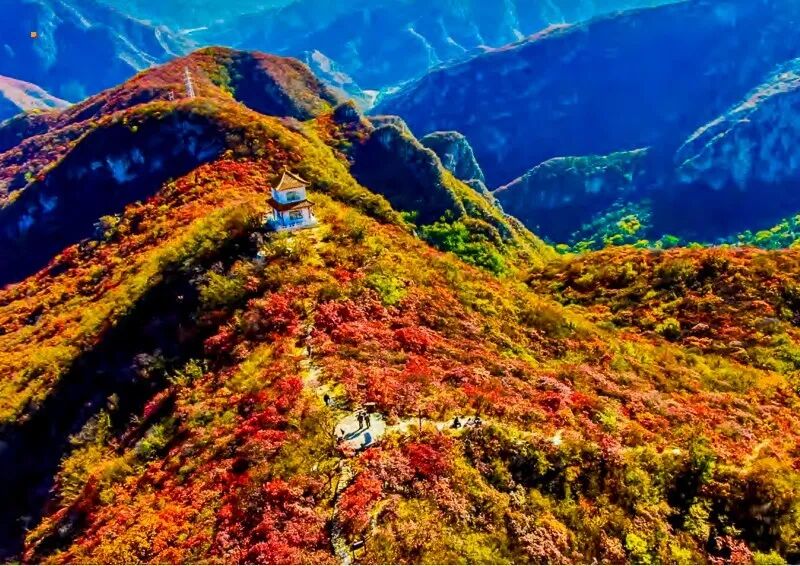 泗马沟药王谷