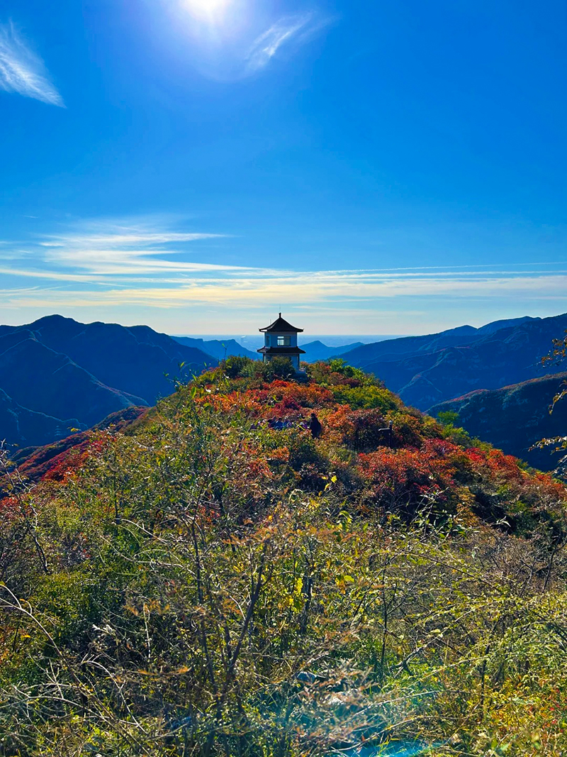 泗马沟药王谷