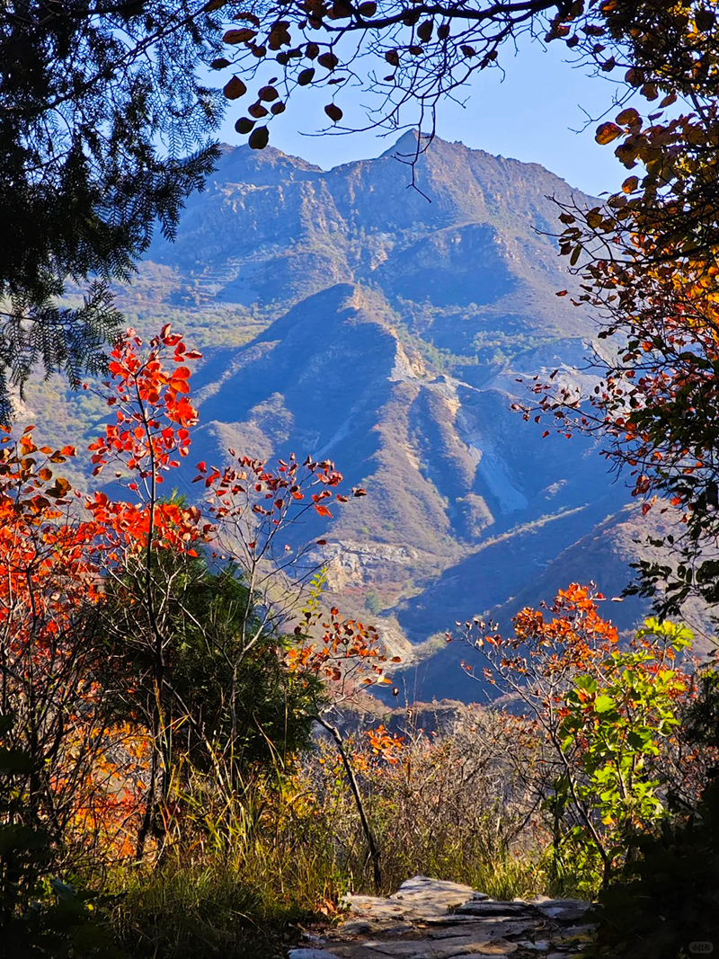 泗马沟药王谷