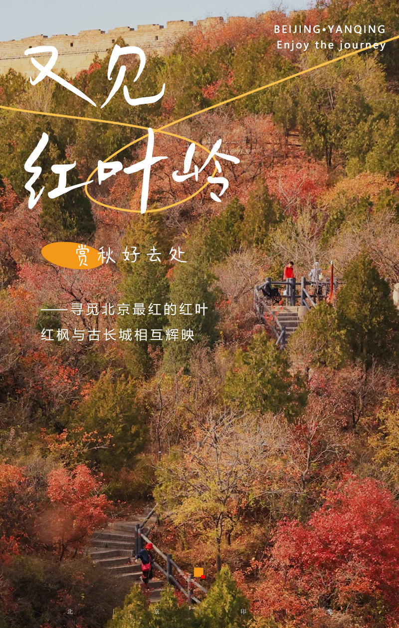 红叶岭