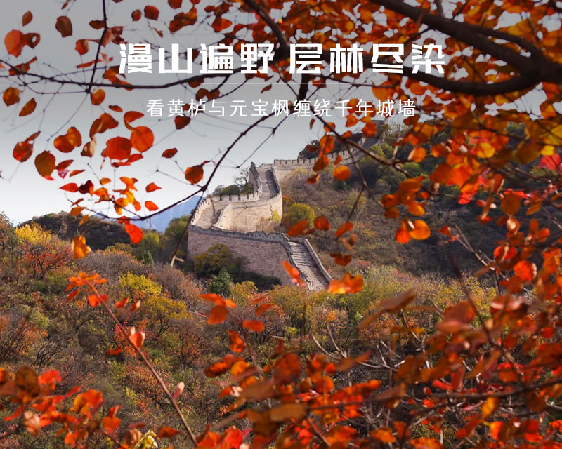 红叶岭