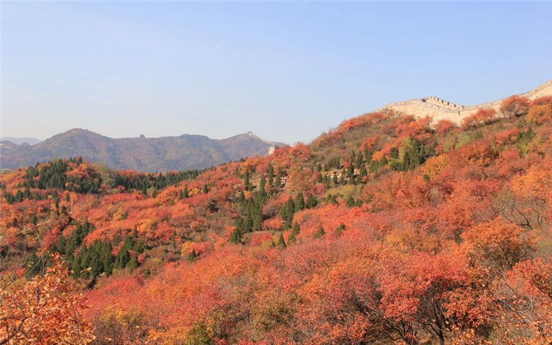 红叶岭