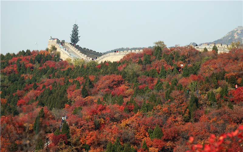 红叶岭