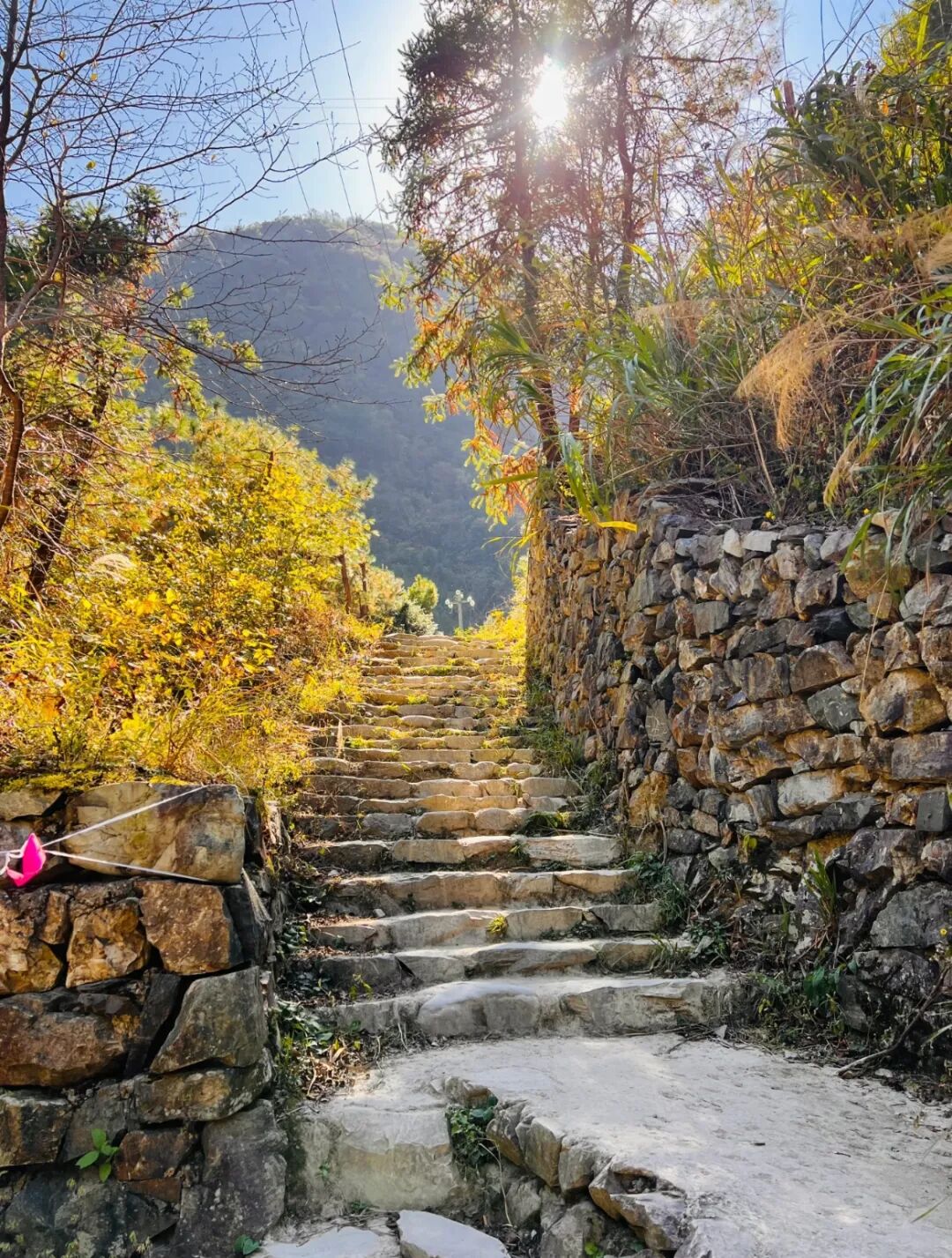 徽杭古道