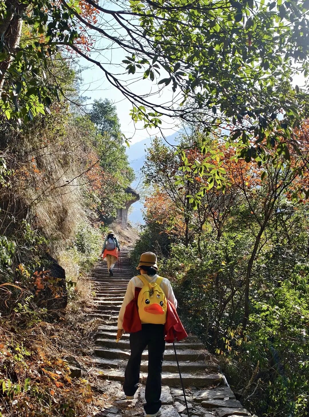 徽杭古道