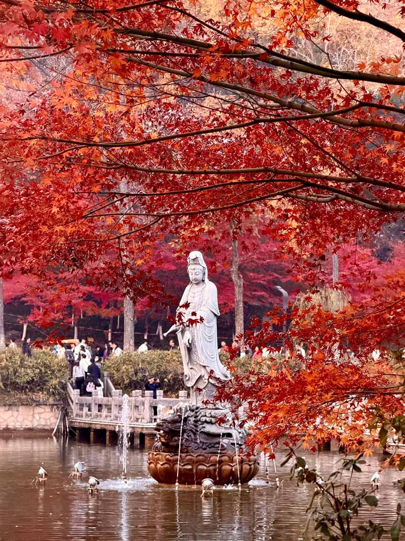 栖霞山