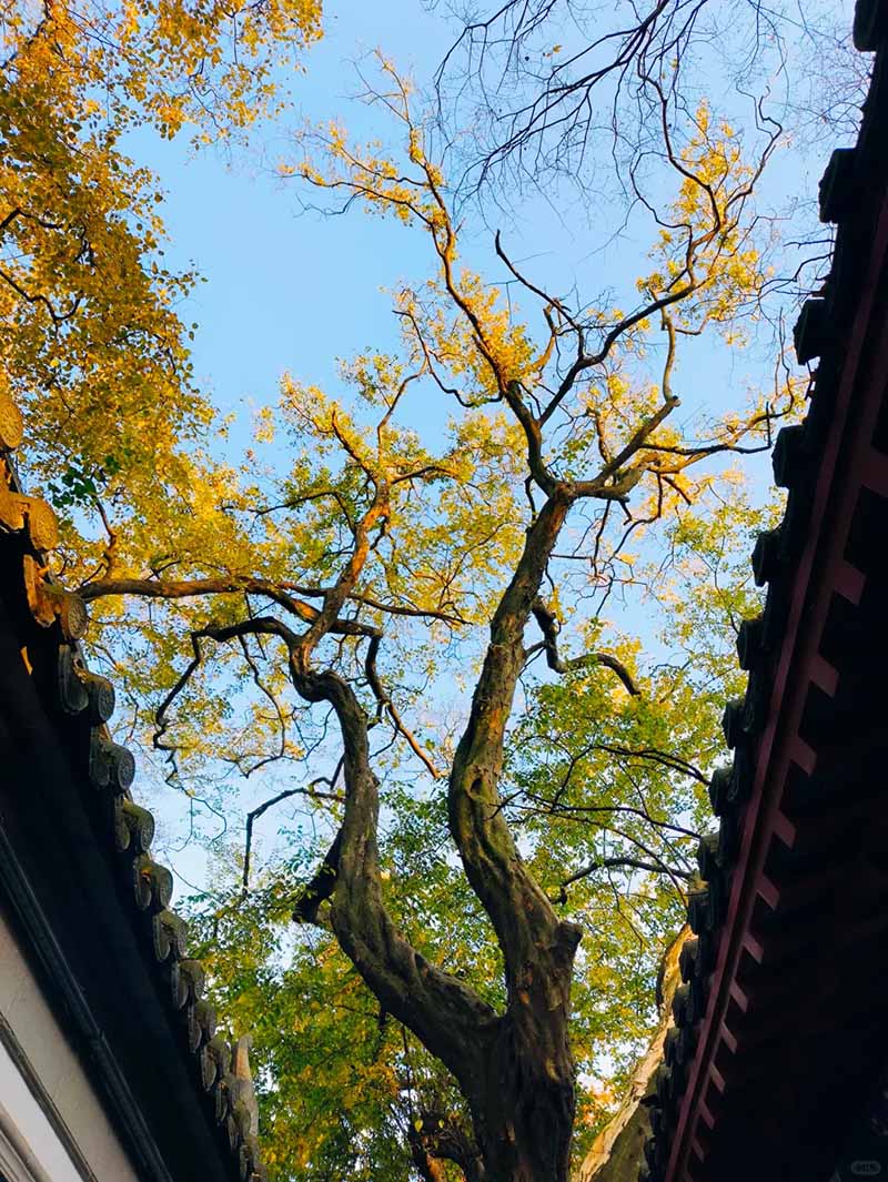 琅琊山