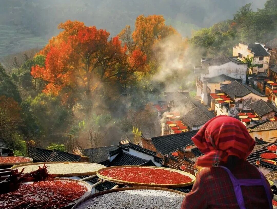 篁岭