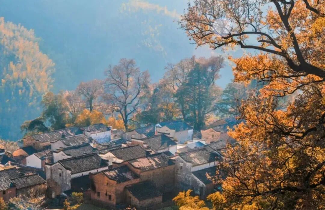 长溪村