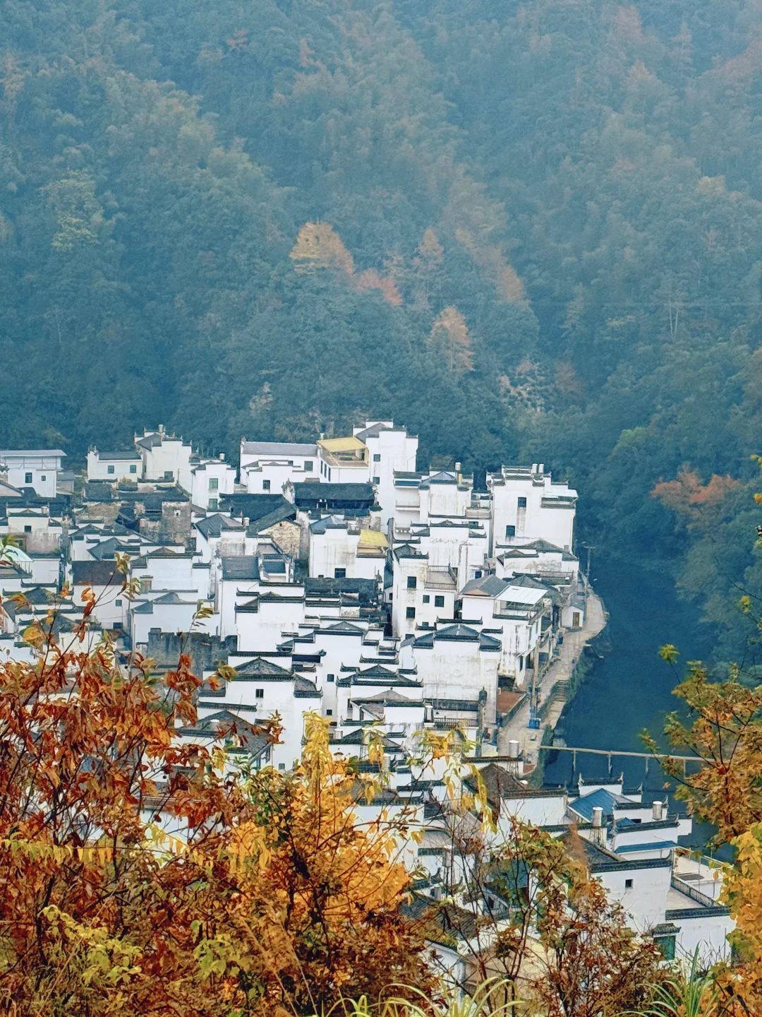 长溪村