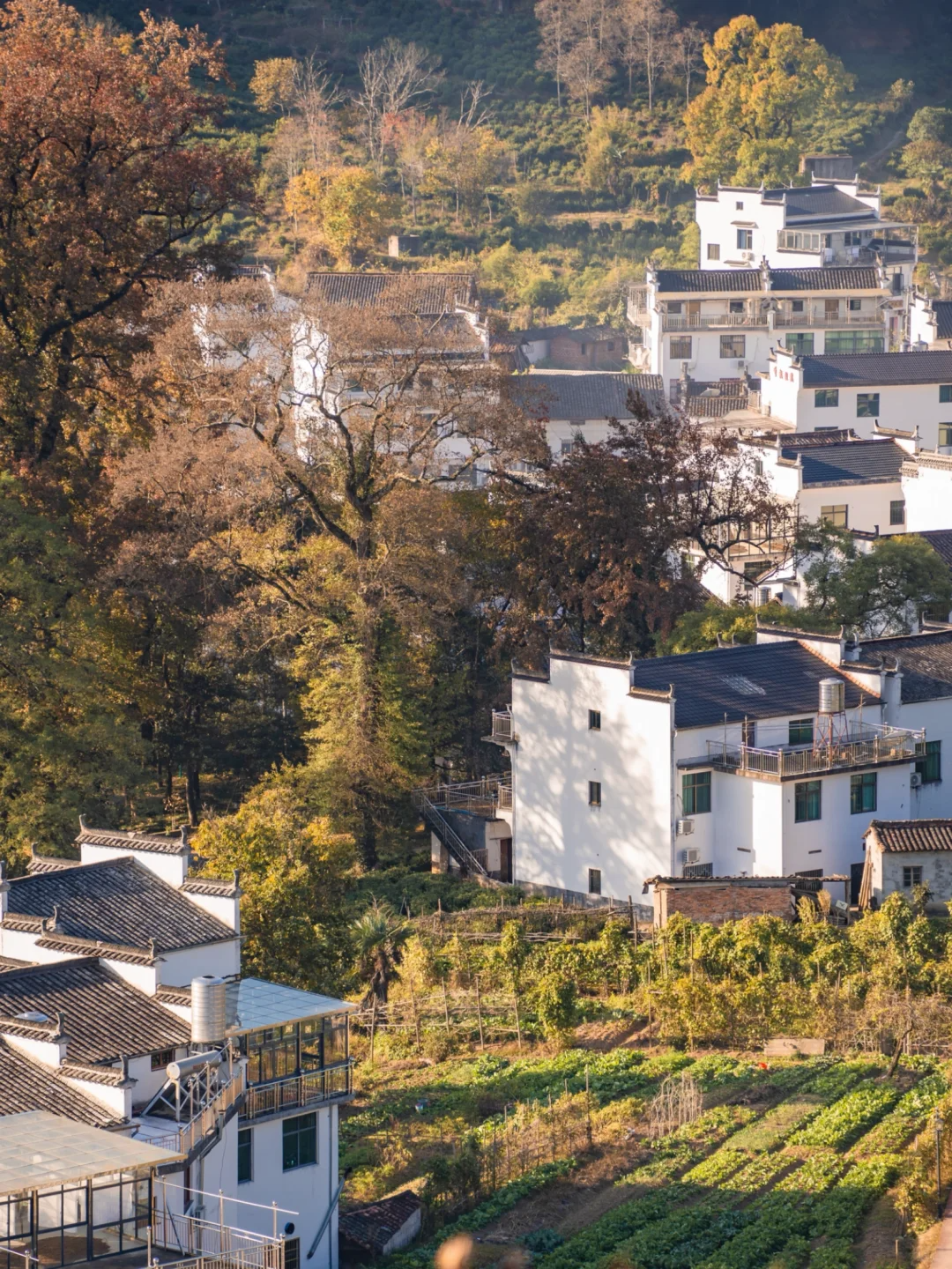长溪村