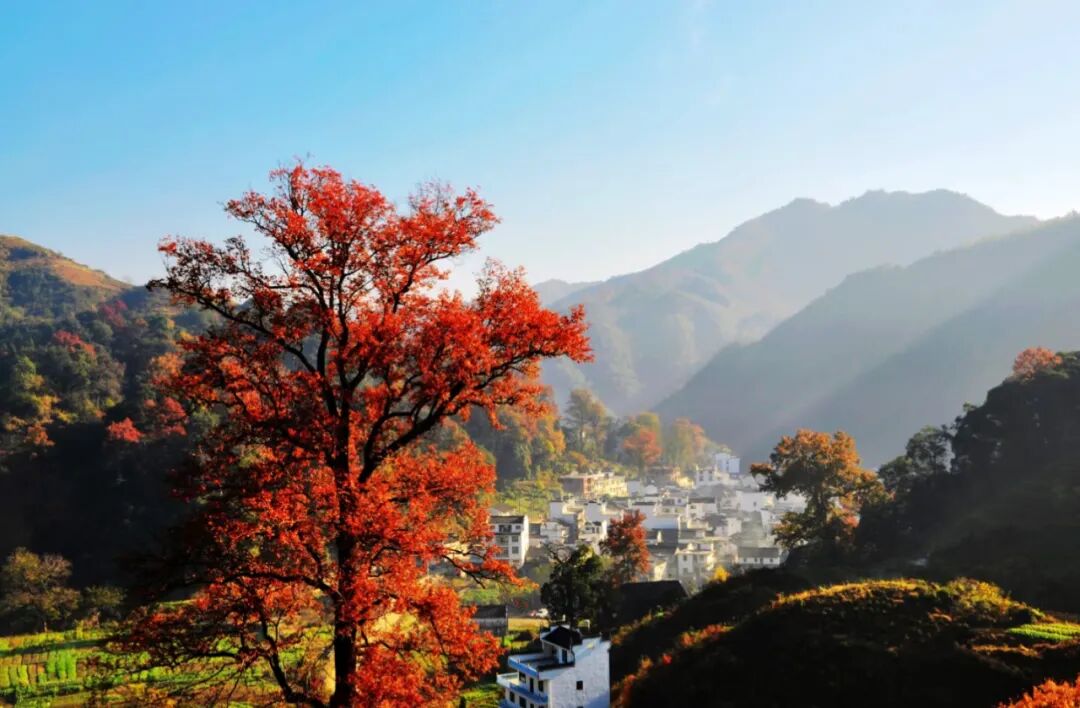 长溪村
