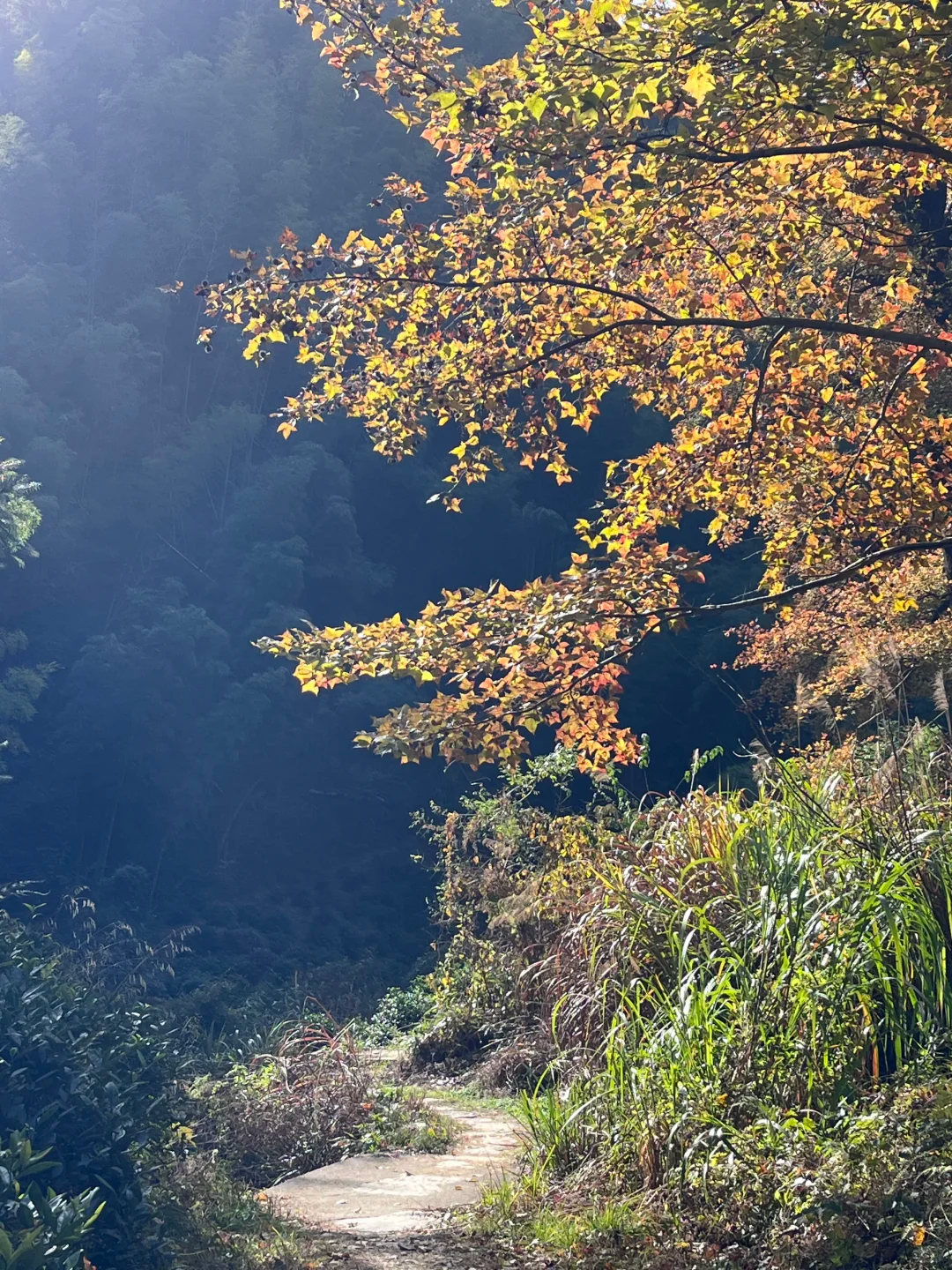 长溪村