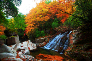 【秦岭秘境·光雾山】10月24/11月2日两期：秦岭觅秋 留坝 龙头山 黎坪 光雾山 十八月潭7日行（VIP大巴出行）