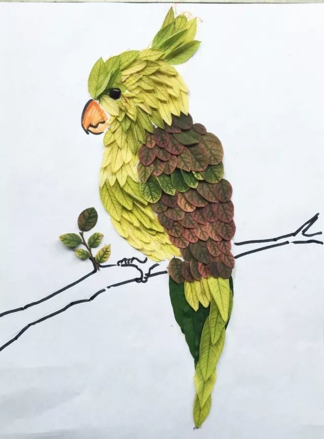 手工制作的自然拼贴画