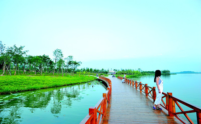 蔡甸后官湖绿道