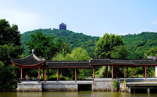 马鞍山森林公园