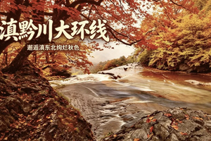 【滇黔川大环线】11月7-14日穿越三省八城，邂逅滇东北绚烂秋色双飞8日行