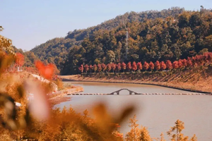 【特价1980元，岭南秋韵】11月14日-20日赴粤北邂逅岭南最浓烈的秋景，享五彩斑斓浪漫7日之旅