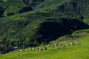 1天｜茶山｜徒步