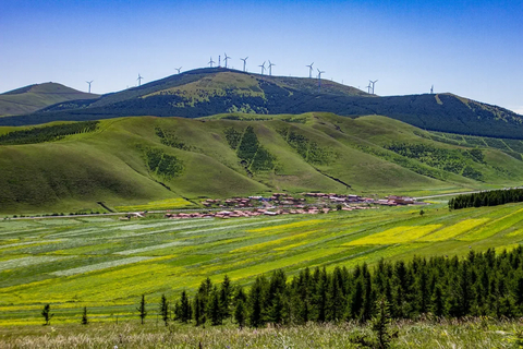 1天｜桦皮岭｜一幅油墨画の草原天路桦皮岭9公里徒步<初级强度>