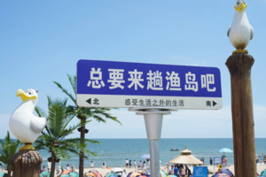 2天【南北戴河】海边欢乐游の渔岛海洋乐园- 开埠地码头西港花园-海滨浴场-游船出海-秦皇之眼(赠送)-秦皇小巷美食