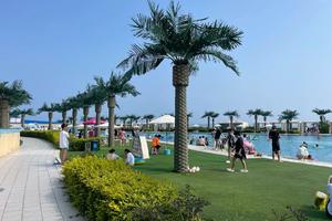 3天【海天盛宴】北戴河精华-乐岛海洋王国-渔田小镇七里海-老君顶峡谷漂流-精彩大型沉浸式表演-烟花-秦皇小巷