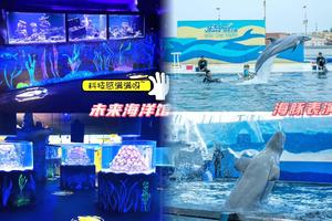 3天【海天盛宴】北戴河精华-乐岛海洋王国-渔田小镇七里海-老君顶峡谷漂流-精彩大型沉浸式表演-烟花-秦皇小巷