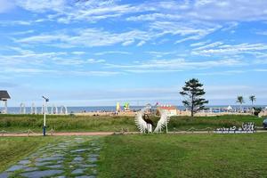 3天【东戴河】休闲东戴河の康养放松海岸漫游
