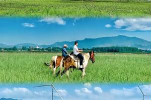 1天｜京西野骑｜骏马疾驰の京西草原20公里野骑路线（新手友好•老手爽骑）