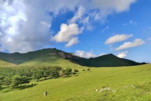 1天 | 饮牛渠•特价 | 小众高山草甸秘境の饮牛渠-漫山野花+溪流牛羊+空中草原徒步穿越10公里