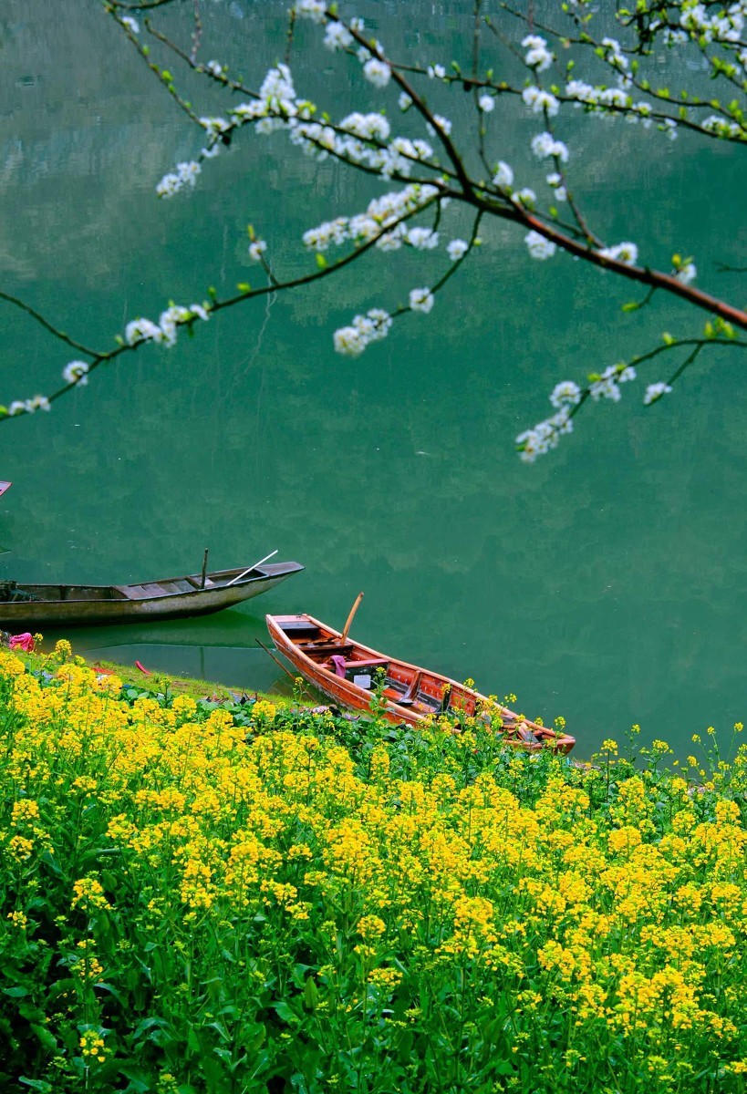 国内13个最美的春天,总有一个打动你!