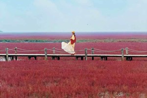 国庆7天 [东北东极] 祖国东极の穿越东北寻东极-观红海滩彩林-赏界江异国两岸风光