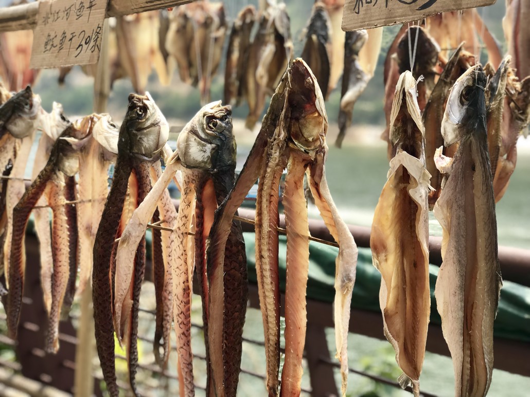 【4月22号】北峡江岸古栈道徒步,品尝小北江河鲜美食