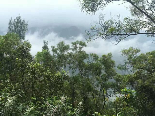 香港戶外線路雲霧中的大刀屻複製鏈接