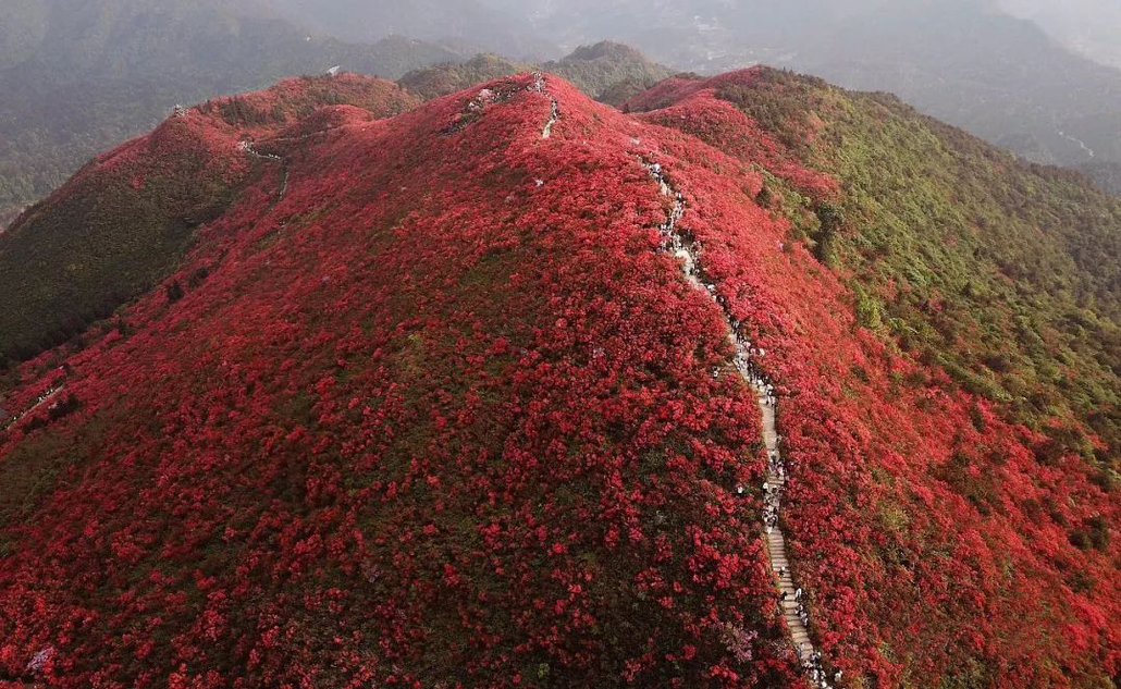 游梵净山记_云游梵净山_梵净山一日游