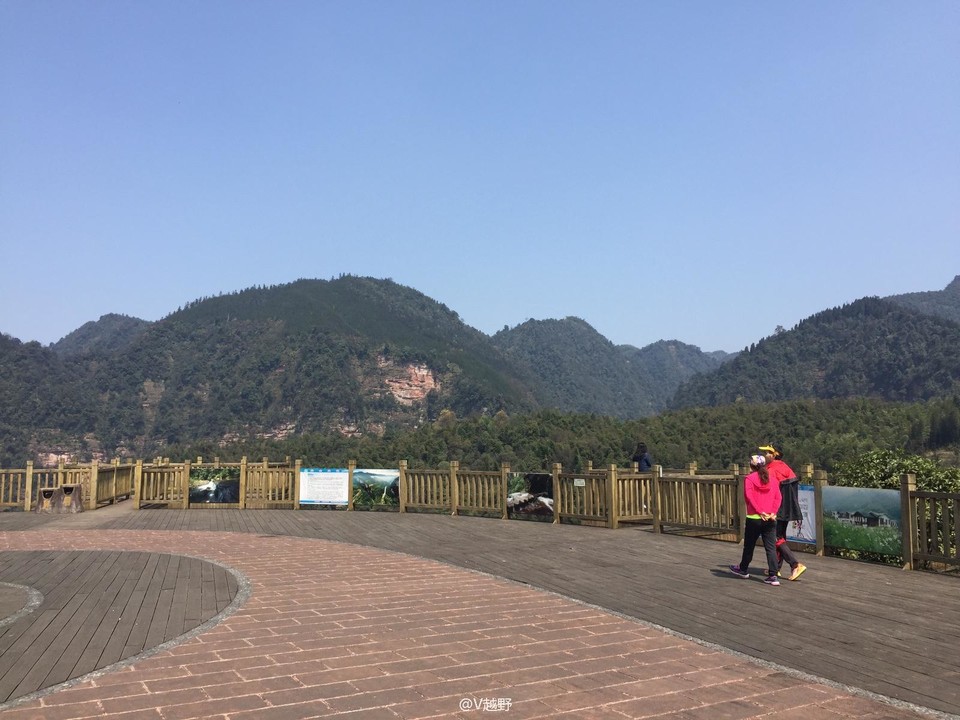 相片详情
