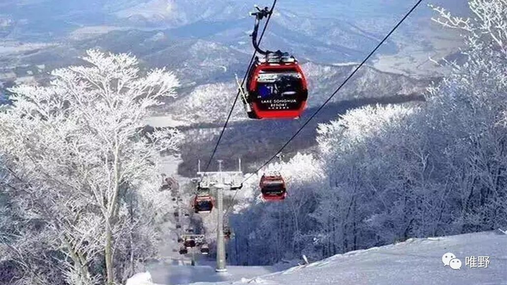 【穿越雪原】唯野带你 雪谷 雪乡 长白山 雾凇岛七日之旅