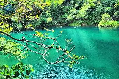 8.15/16【肇庆紫云谷溯溪】媲美九寨沟的避暑天堂，探索千8.15/16【紫云谷溯溪玩水 1天】行摄最美山水，尝美食农家菜