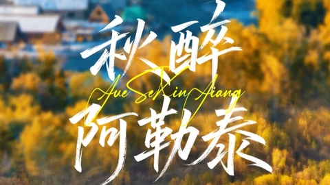 秋醉阿勒泰9日 | 2-28人团+天山天池+乌尔禾胡杨林+可可托海+喀纳斯+禾木+白哈巴+五彩滩+魔鬼城+采风之旅
