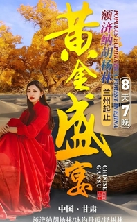 【越野小团】黄金盛宴--2026邂逅额济纳胡杨林  黄河石林 巴丹吉林 怪树林居延海  金塔胡杨林 平山湖大峡谷 冷龙岭