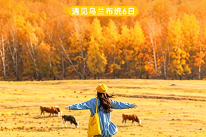 【遇见乌兰布统·草原摄影6日】七彩森林+越野车穿越浑善达克沙地+达达线+阿斯哈图+乌兰布统核心区